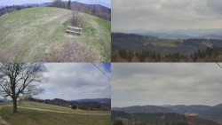 Sdružený snímek Bludný