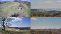 Sdružený snímek Bludný