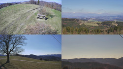 Sdružený snímek Bludný