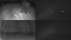 Sdružený snímek Bludný