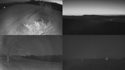 Sdružený snímek Bludný