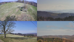 Sdružený snímek Bludný