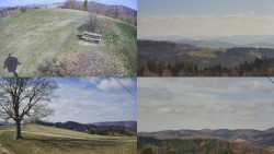 Sdružený snímek Bludný