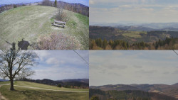 Sdružený snímek Bludný