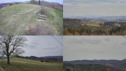 Sdružený snímek Bludný