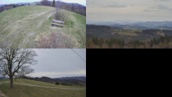 Sdružený snímek Bludný