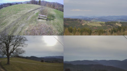 Sdružený snímek Bludný