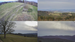 Sdružený snímek Bludný