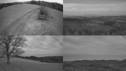 Sdružený snímek Bludný