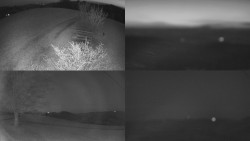 Sdružený snímek Bludný