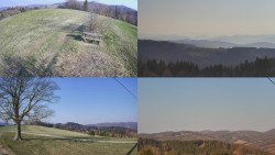 Sdružený snímek Bludný