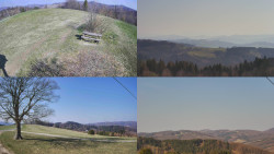 Sdružený snímek Bludný