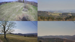 Sdružený snímek Bludný