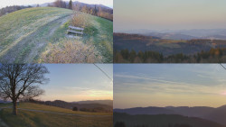 Sdružený snímek Bludný