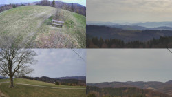 Sdružený snímek Bludný