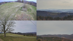 Sdružený snímek Bludný