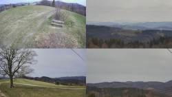 Sdružený snímek Bludný