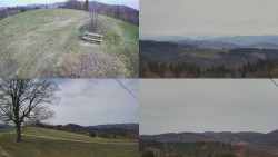 Sdružený snímek Bludný