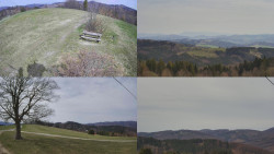 Sdružený snímek Bludný