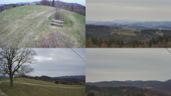 Sdružený snímek Bludný