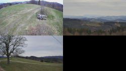 Sdružený snímek Bludný