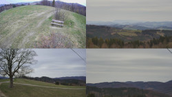 Sdružený snímek Bludný