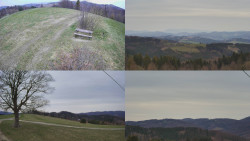 Sdružený snímek Bludný