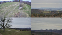 Sdružený snímek Bludný