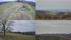 Sdružený snímek Bludný