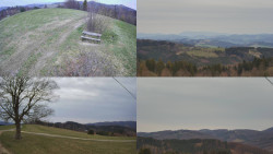 Sdružený snímek Bludný