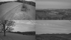 Sdružený snímek Bludný