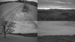 Sdružený snímek Bludný