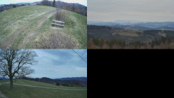 Sdružený snímek Bludný