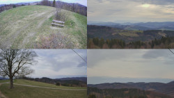 Sdružený snímek Bludný