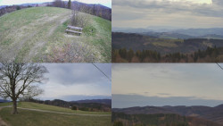 Sdružený snímek Bludný