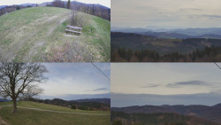 Sdružený snímek Bludný