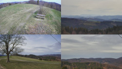 Sdružený snímek Bludný