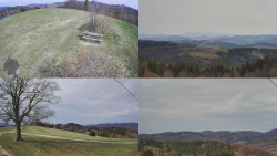 Sdružený snímek Bludný