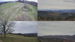 Sdružený snímek Bludný