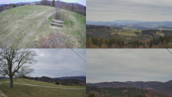 Sdružený snímek Bludný