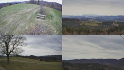 Sdružený snímek Bludný