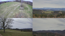 Sdružený snímek Bludný