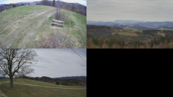 Sdružený snímek Bludný