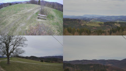 Sdružený snímek Bludný