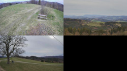 Sdružený snímek Bludný