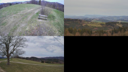 Sdružený snímek Bludný