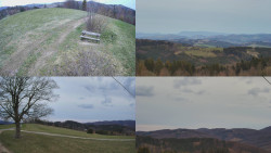 Sdružený snímek Bludný