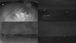 Sdružený snímek Bludný