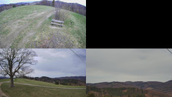 Sdružený snímek Bludný