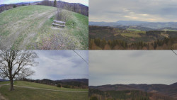 Sdružený snímek Bludný